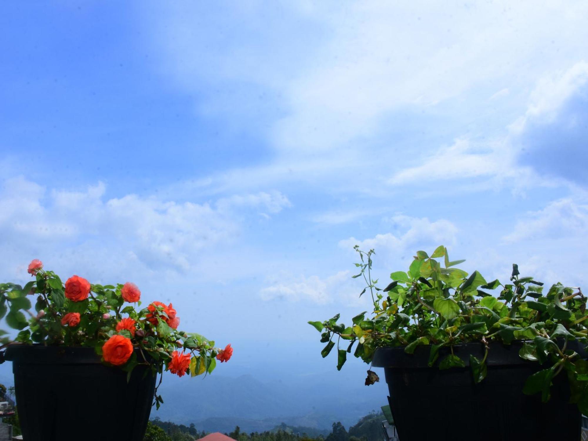 Grand View Guest House Haputale Luaran gambar